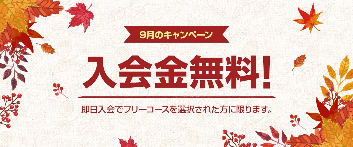 コラム